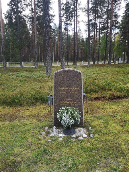 Hautatunnus: VLM 06     0:1-2