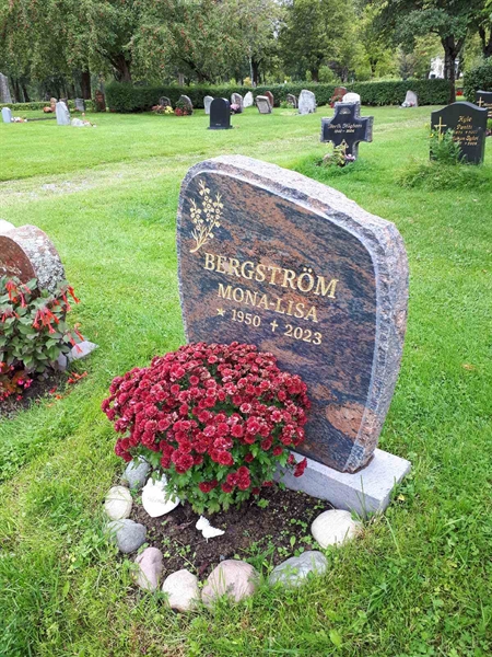 Gravnummer: NK F D   293