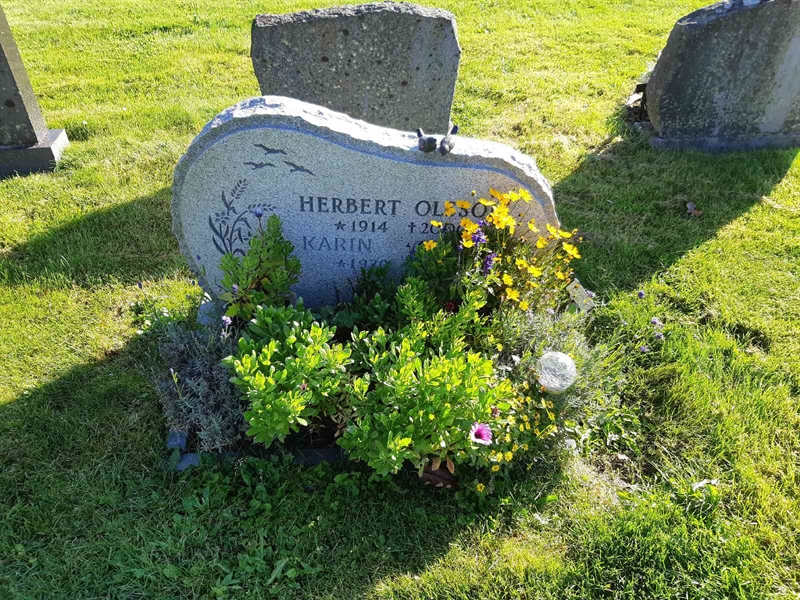 Hautatunnus: Fr 8   220-221