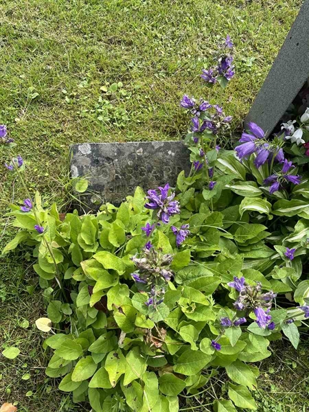 Grave number: N 4 2   249a