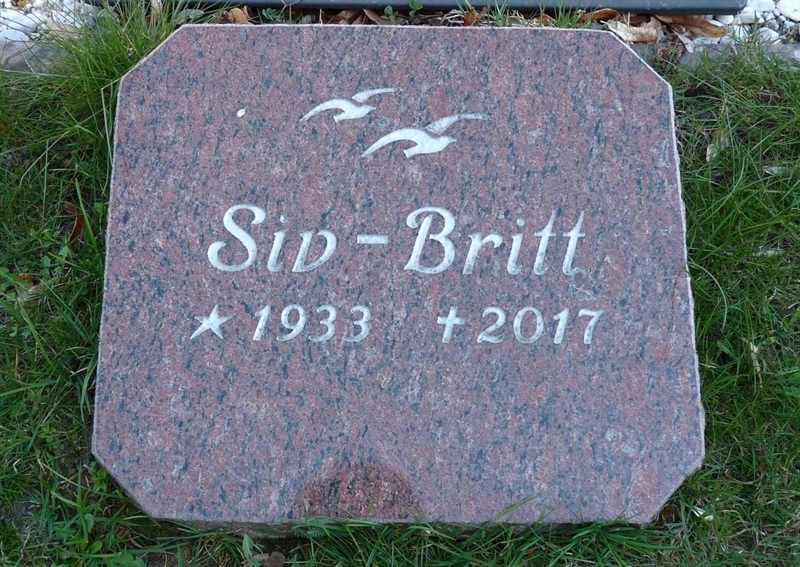 Grave number: SV 6   50