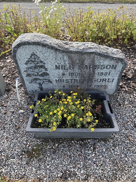 Grave number: 4 N ND    50