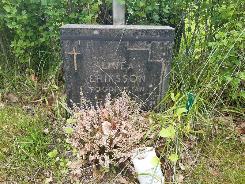 Grave number: NO 25   846