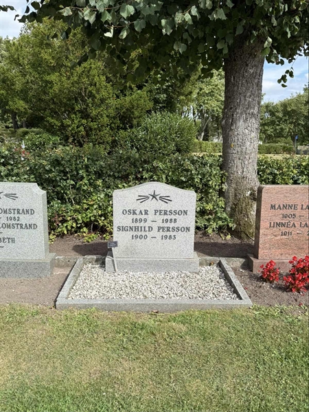 Grave number: ON C   639