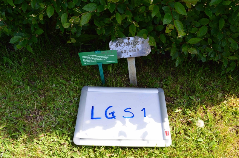 Grave number: LG S     1
