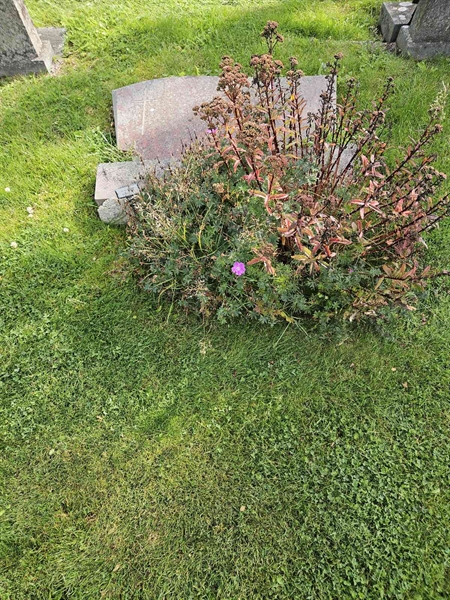 Hautatunnus: Fr 8   534-535