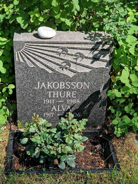 Grave number: 1 KV.8   399