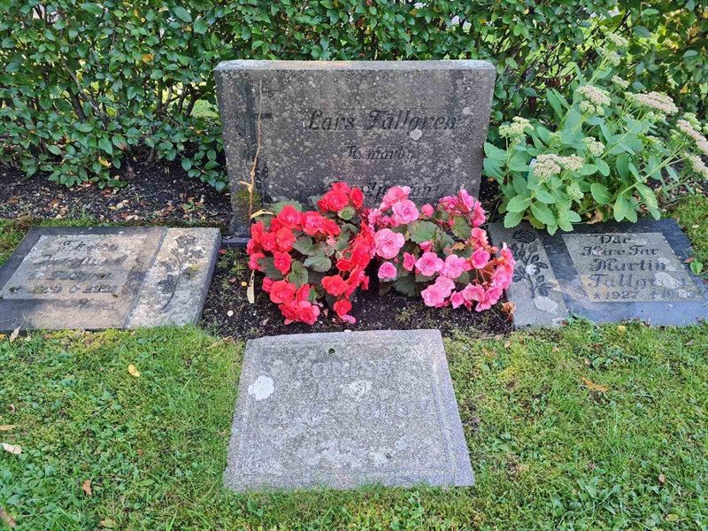 Grave number: Ö III D    7