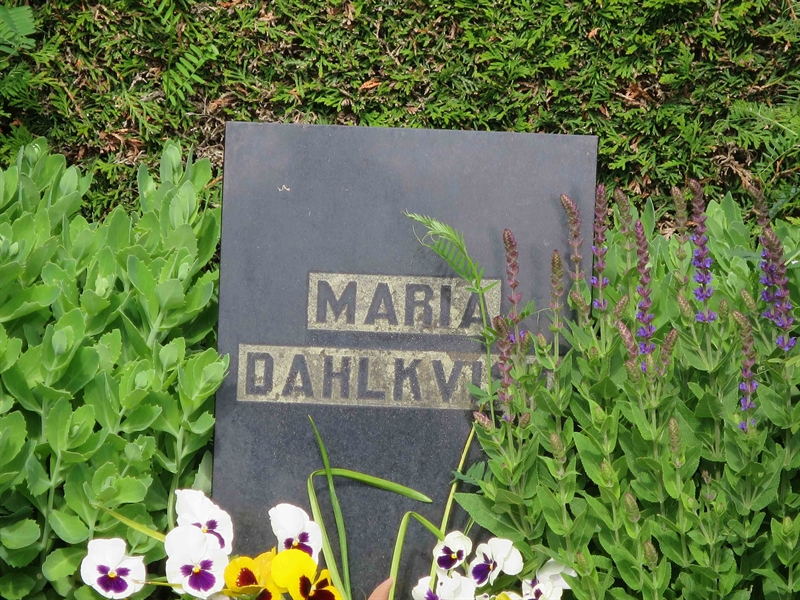Grave number: HÖB 41     2