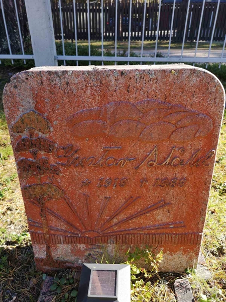 Hautatunnus: VLM 02    21:1