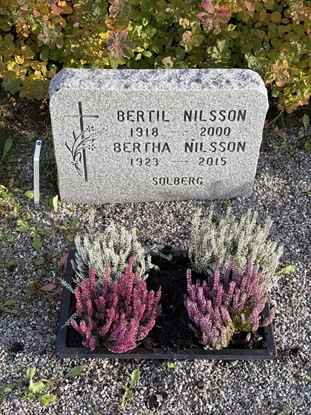 Grave number: 4 N ND   343