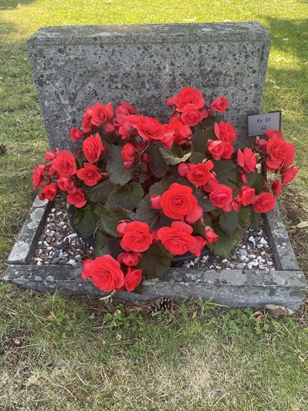 Hautatunnus: 1 D1    42