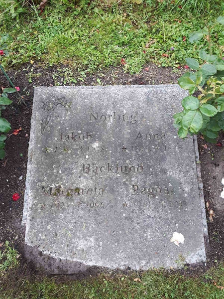 Hautatunnus: NK F G   134