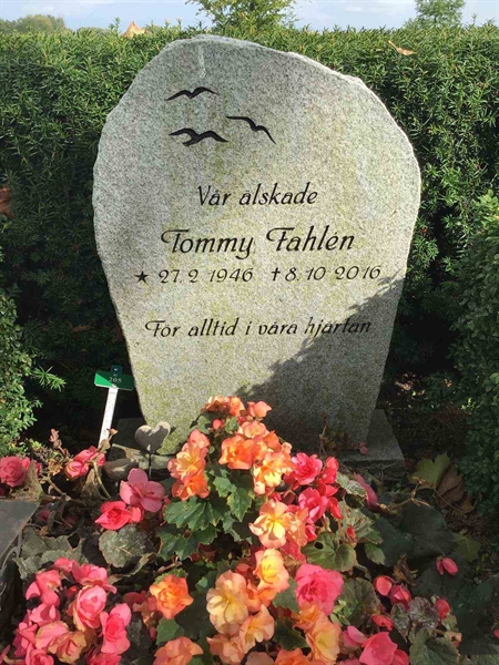 Hautatunnus: Kaga ny   205