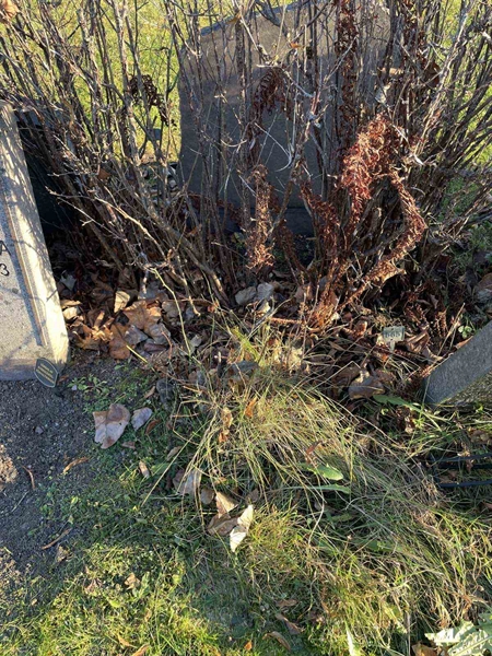 Gravnummer: GK A 3   566