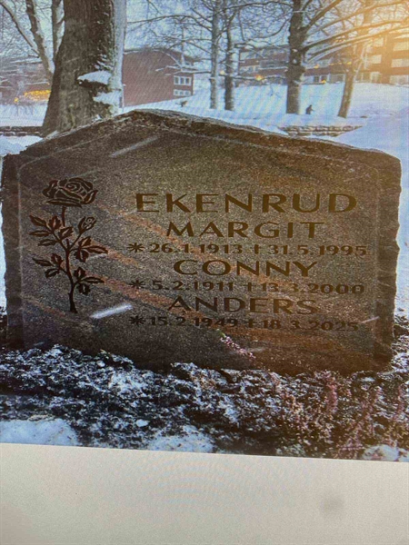 Gravnummer: 1 I   198