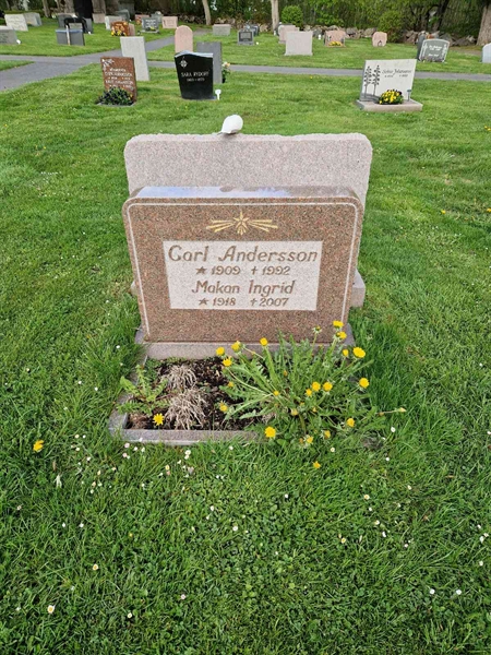 Grave number: 02 I   39