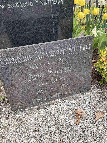 Grave number: Ö IÄ 180, 181, 182, 183