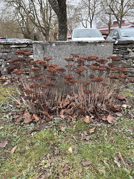 Grave number: G A 108, 109
