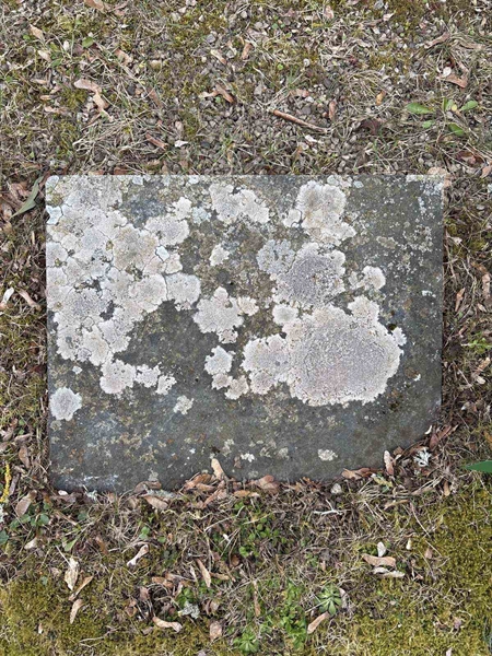 Gravnummer: LO    45