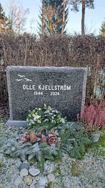 Hautatunnus: 6 05    158