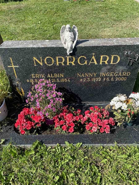 Hautatunnus: N 5 2   189a