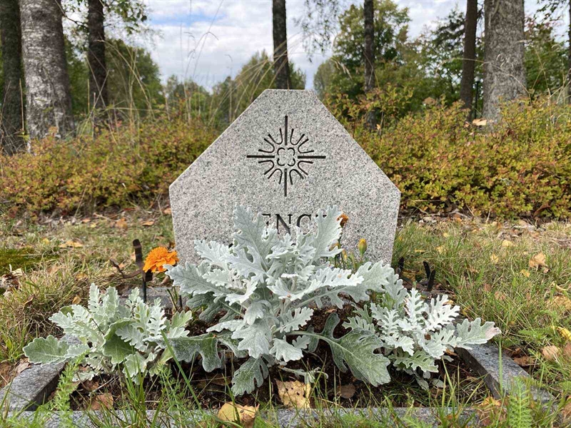 Grave number: 1 19    246