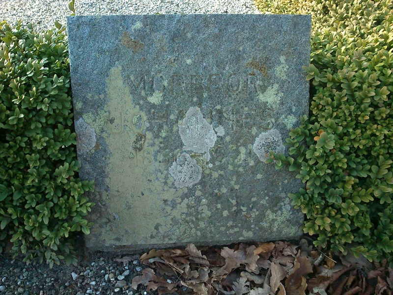 Grave number: Kg XIV    80