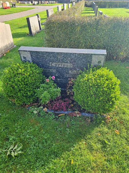 Grave number: K1 05   243, 244