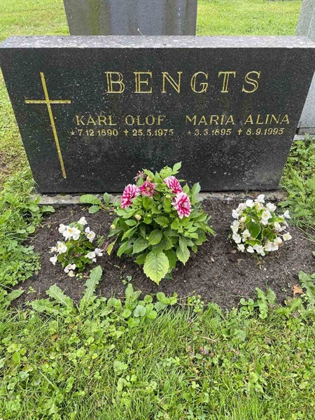 Gravnummer: N 4 4   625