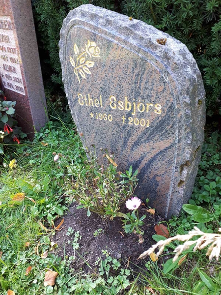 Gravnummer: GK U 4   264