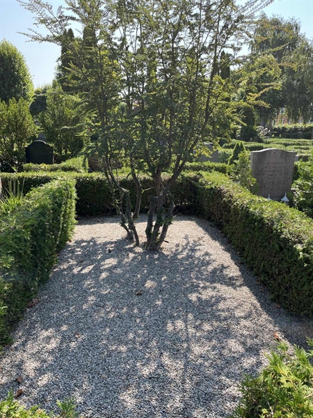 Grave number: NK VI     3