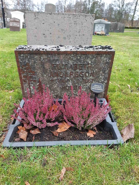 Grave number: AL 2    50