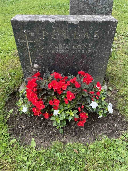 Gravnummer: N 4 3   328