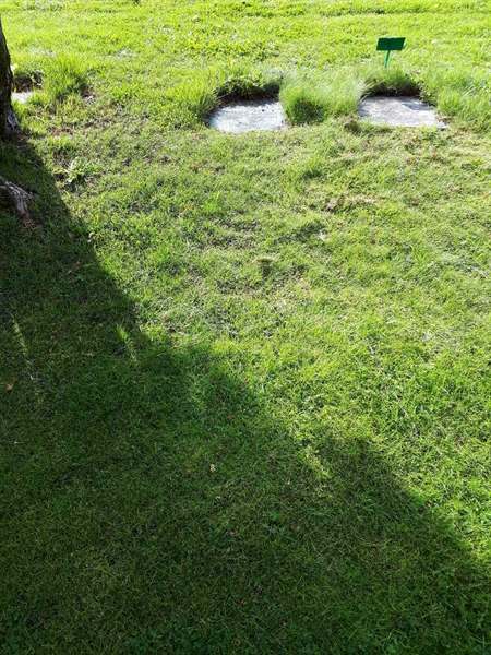 Gravnummer: NK A A   187