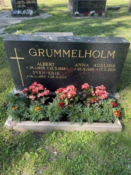 Gravnummer: N 5 3   365-366