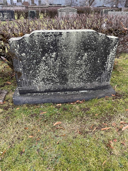 Grave number: Vårv Kv4 119