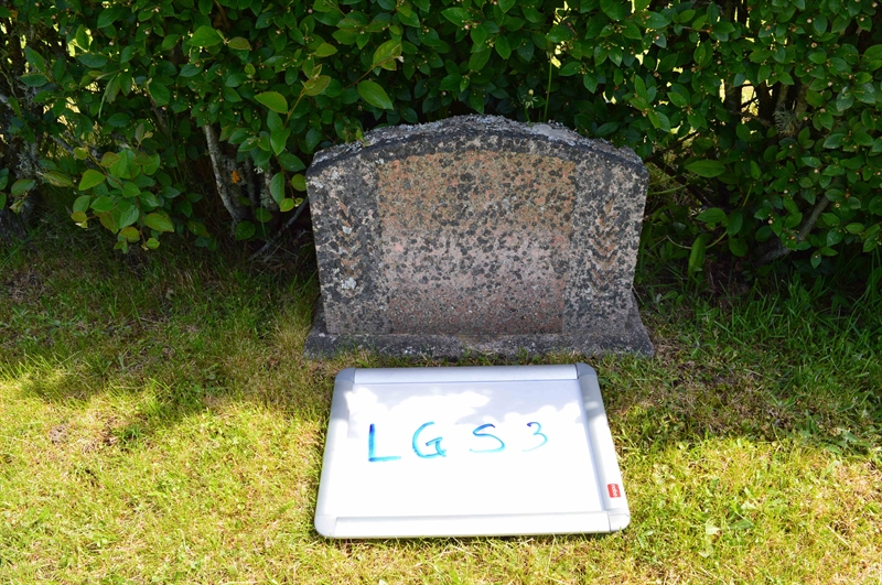 Grave number: LG S     3