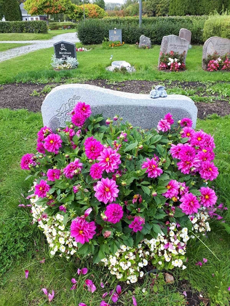 Hautatunnus: NK F D   411