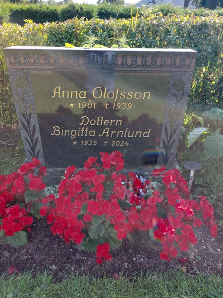 Gravnummer: 1 D   029