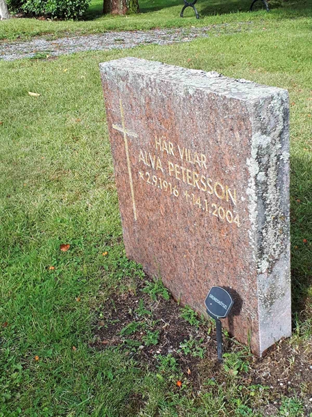 Hautatunnus: NK F D   247