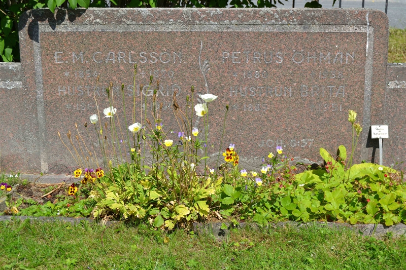 Grave number: 1 C   164