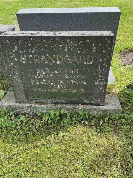 Grave number: N 4 1    54