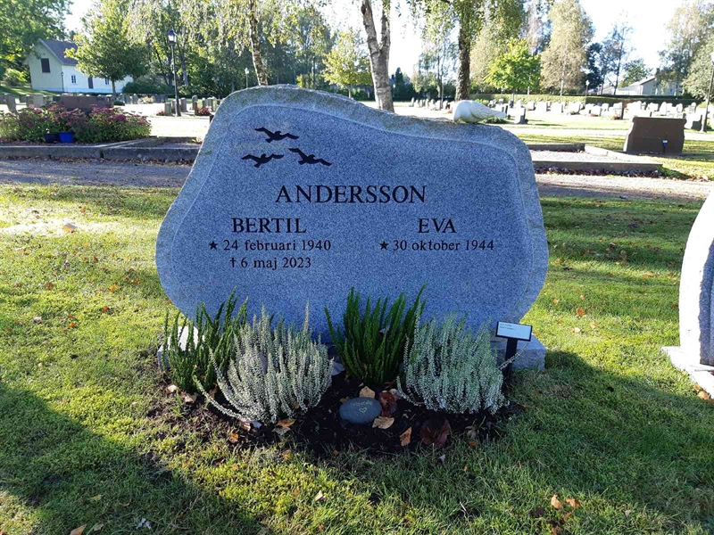 Grave number: Fr 7   955