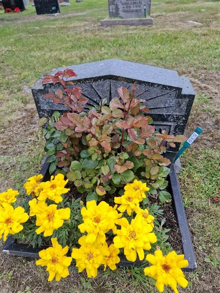 Grave number: 001 2   539