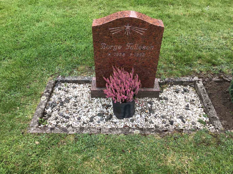 Grave number: 20 N   226