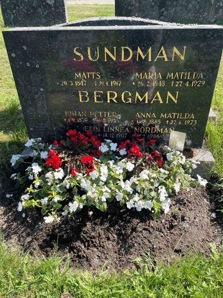 Hautatunnus: N 5 2   194