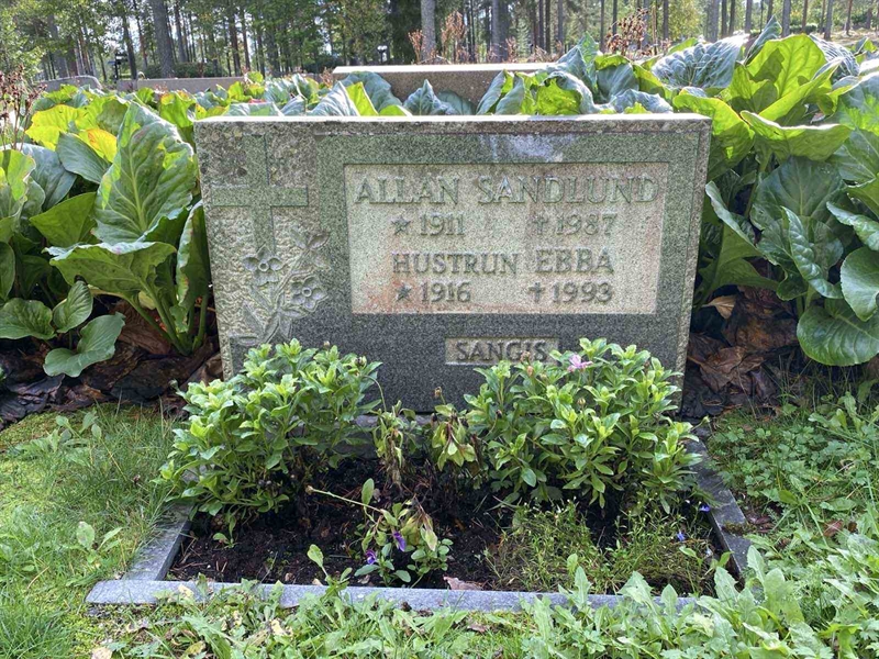 Grave number: 3 11 119