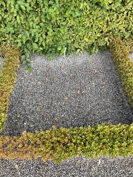 Grave number: NK Urn p    13