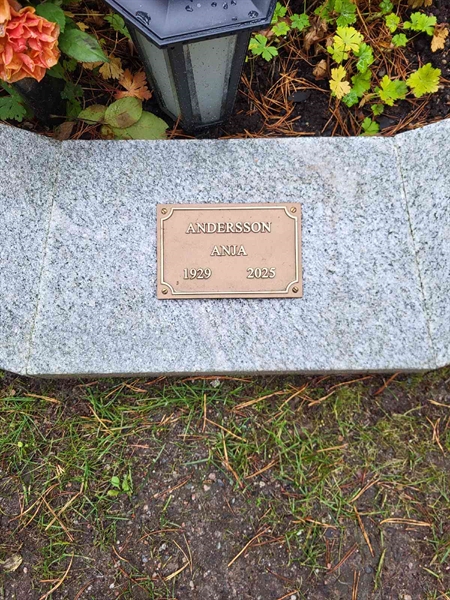 Gravnummer: H AG   251-252